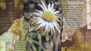 Collage Dried Botanical Photos~Mini Series 11-12~Photo Field Trips