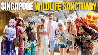 Singapore Wildlife Sanctuary @tejasswiprakash4