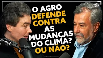 imagem do youtube