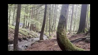Relaxing River Sounds in Squamish | Real Nature for Sleep & Calm