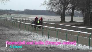 My Video-260.mp4