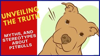 Discovering the Truth About Their History, Demystifying Myths and Stereotypes about Pit Bulls!