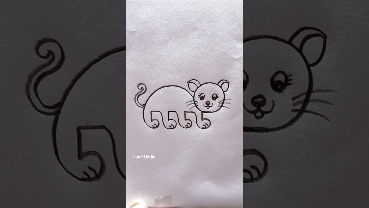 5555 = Cat Drawing || easy number drawing