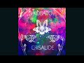 Kobato nuovo Album 2023 - CRISALIDE