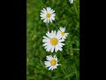 Los signos más difíciles de amar: Capricornio, Acuario, Piscis