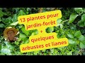13 plantes pour jardin fort  en bonus des arbustes et lianes