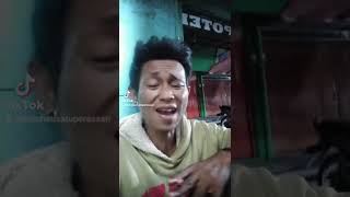 Download Lagu ibarat daun yg berguguran MP3