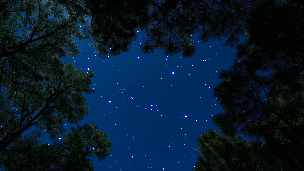 Crickets & Owl Under the Starry Night Sky | Breezy Night Ambience for Deep Sleep & Relaxation