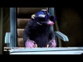 G Force The Game Part 40 END 