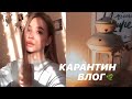 КАРАНТИН ВЛОГ: Дистанционное обучение, Что делать на карантине?