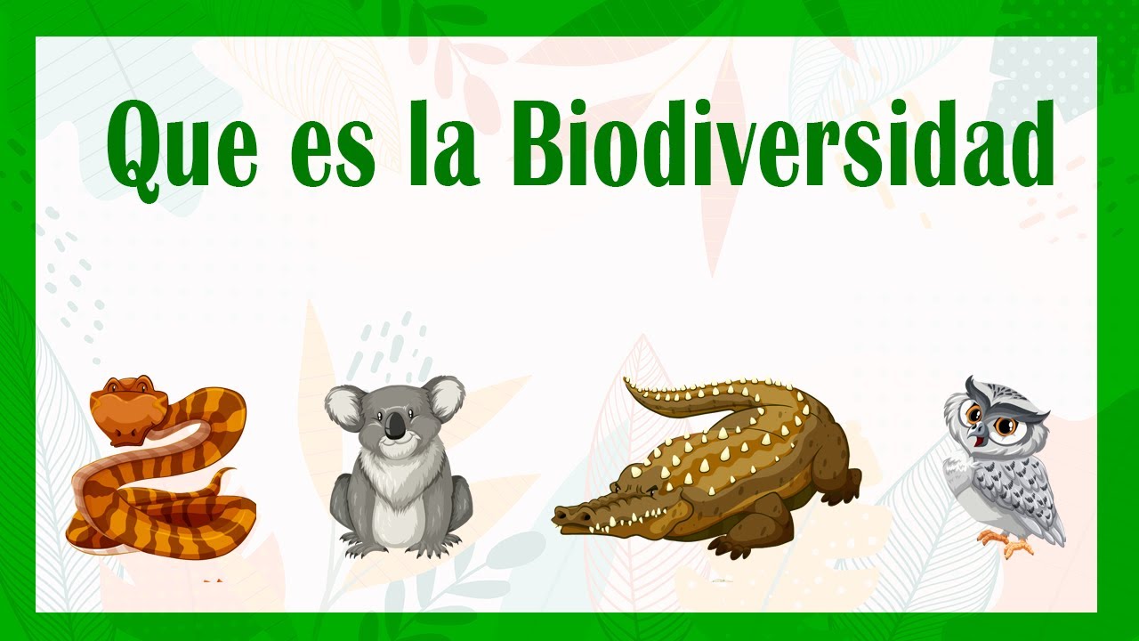 Que Es La Biodiversidad Conoce Que Es La Biodiversidad Y Sus Tipos