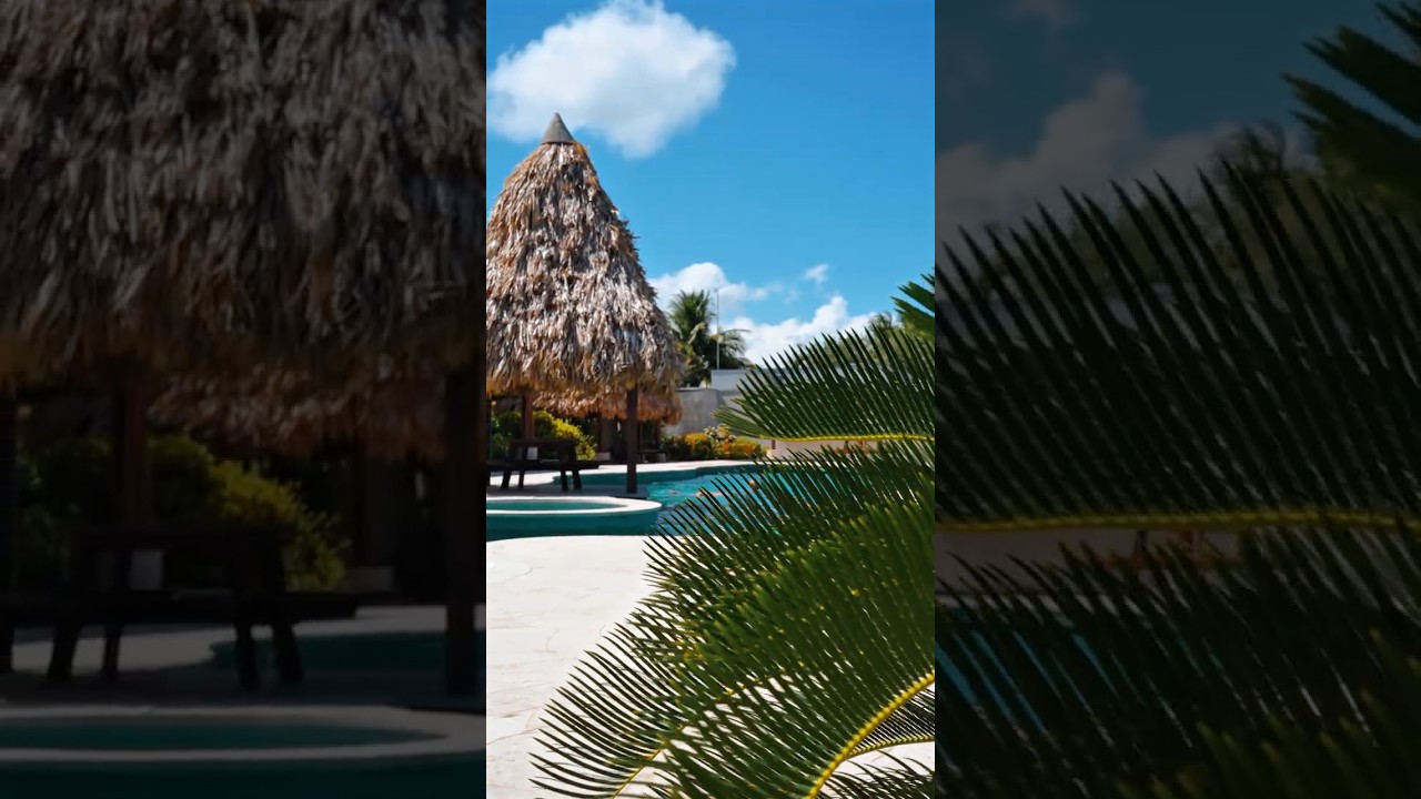 NEARLY 3 ACRES IN BELIZE | Owner Financing Available |...