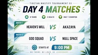 heavens will vs akazaya , god squad vs null space