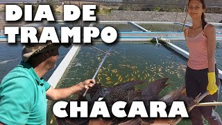 Sexta Feira É Dia De Trampo Brabo Na Chácara Saalada