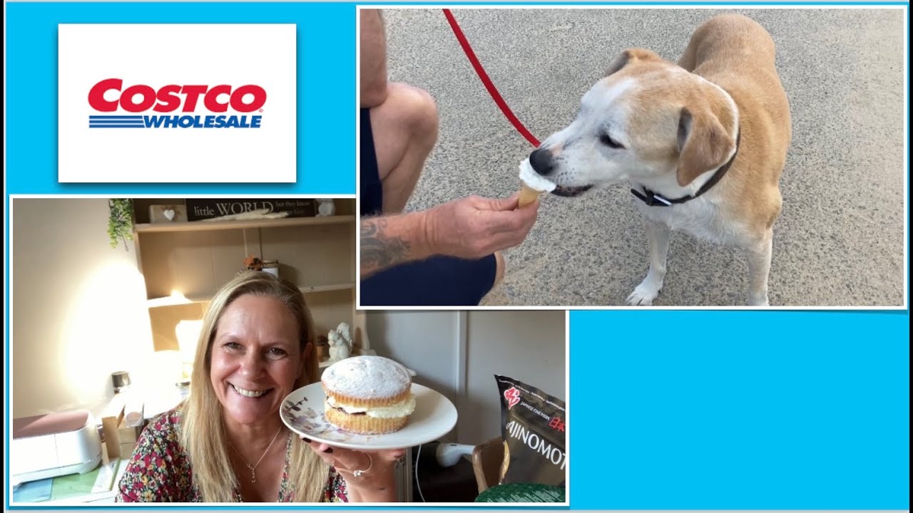 COSTCO HAUL. RIBBON. ANGELSEY. TREADDUR BAY. BEAUMARIS. FAMILY, FOOD & FURRY FRIENDS. SEPT 2022