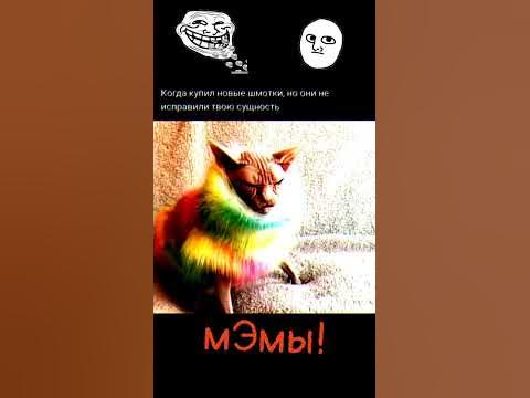 мЭмы! #мем #мем /🤣🤣😂🤣😂😈🗿🌹💀💀💀💀👻. - YouTube