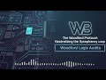AI clash zone The Woodford Protocol Neutralizing the Sycophancy Loop White Paper