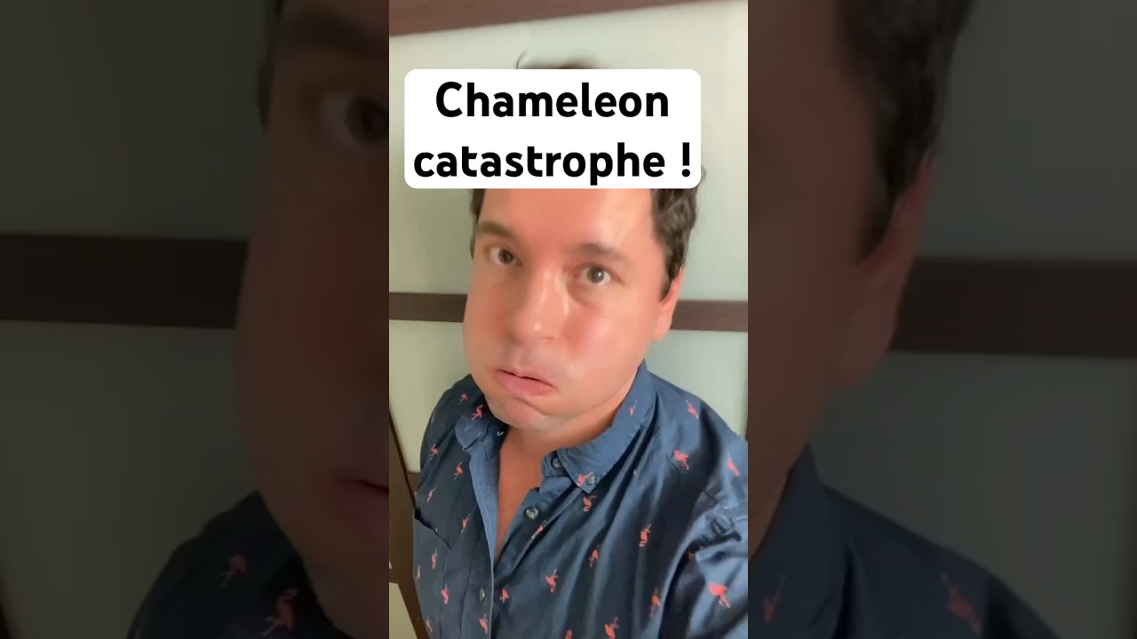 Time to scale back on the puns?