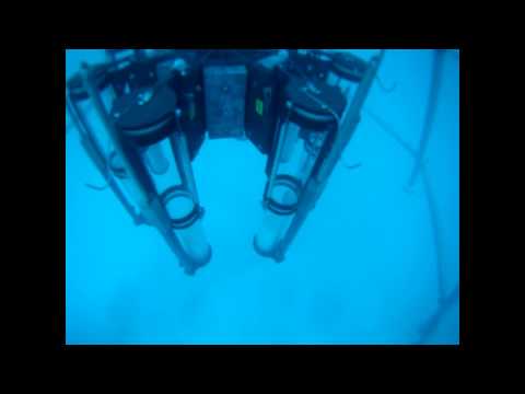 SoMAS / Paleo Lab - Multicore Spider Arm Test