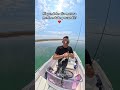 Spigola a spinning con Black Minnow mis.2  #fishing #spigola #seabass