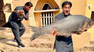 Download Lagu Wow/Aaj Big Fish Grill kr Li||How to Grill Big Fish at Home MP3