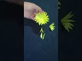 wonderful paper flower making//How to make beautiful paper flower #papercraft #shortsvideo #ytshort