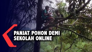 Curhat Kepala Desa Yang Warganya Panjat Pohon Demi Dapat Sinyal
