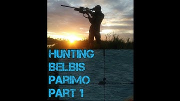 Hunting belibis parimo part 1