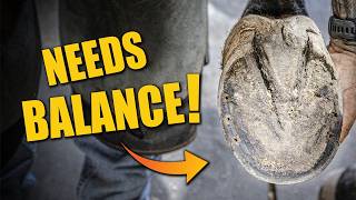 This Hoof Needed Balance | FARRIER ASMR