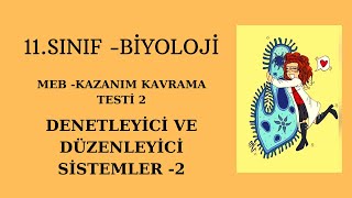 2) 11. SINIF BİYOLOJİ MEB KAZANIM KAVRAMA TESTİ-2 ÇÖZÜMÜ (Sinir Sistemi-Endokrin sistem)