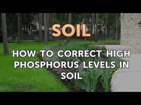 Video: Too Much Phosphorus In Soil: How To Correct High Fosphorus Levels