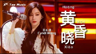 《黄昏晓 Huáng Hūn Xiǎo》- 王心凌 Cyndi Wang (动态歌词拼音PinYin)