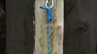 The Alpine Guardian ⚡ Mastering the elite rescue hitch on carabiners.