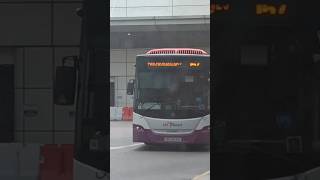 [SBST] SBS8041E 157 arriving Toa Payoh Int