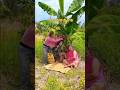 banana 🍌 prank 😂#funny #comedy #prankwars #brotherhood #foryou #fyp #usayoutube