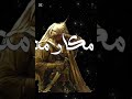 بلعت العنوان 🙂❤️ #اكسبلور #اكسبلور #النظافه #لايك #اهميه #ببجي #الظروف #ببجي_موبايل #المراه #anime