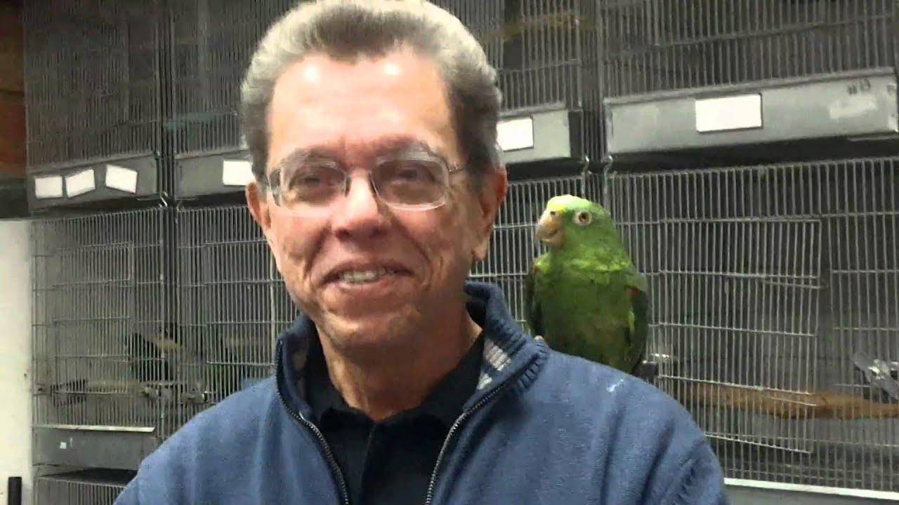 Parrots NJ,Exotic Birds for sale NJ - YouTube