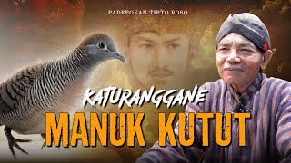 MITOS ATAU FAKTA? KATURANGGAN BURUNG PERKUTUT BISA PENGARUHI PEMILIKNYA💥