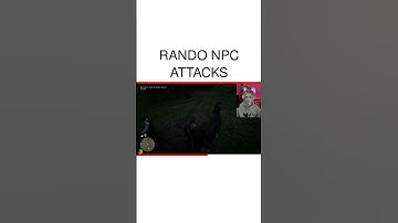 Rando NPC Attacks