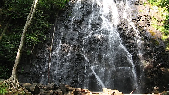 3 Dozen Things to Do Before You Graduate UVA Law