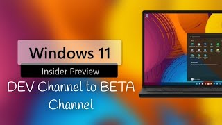 Switch From Dev to Beta Channel in Windows 11 Insider Program screenshot 4