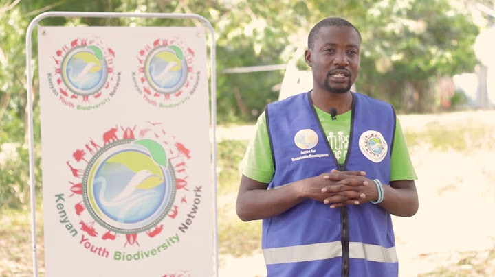 Youth-led Mangrove Restoration in Kenya's South Coast