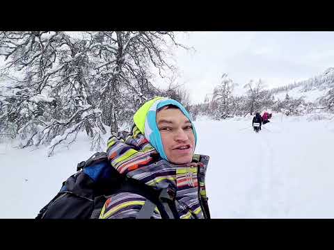 Дунан-Суйган - жеребца
