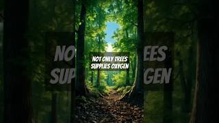The Quiet and Secret Oxygen Supplier #oxygen #nature #algae #tree #viralvideo #trending #water #reel
