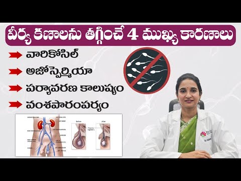 Common Cause of Male Infertility in Telugu