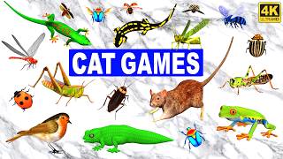 3D TV for Cats 😻| Ultimate 3D Cat Game Compilation Mouse Maze Lizards Bugs & Birds Chase | 4K 60FPS screenshot 3