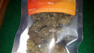 Budtender Damon's Top 5 Picks of the Week Apr 7th