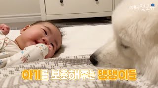 [어린이날 특집] 아기랑 대형견이 만나면...KBS 무한리필 샐러드 200424 방송