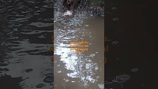 Download Lagu Viral Dj Balada Boa #shorts #short #viral MP3