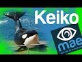 Keiko: su historia y ¿cómo murio?
